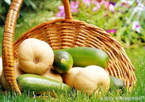 農產品蔬菜品牌應具備的氣質