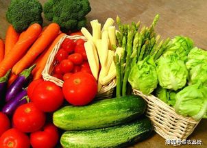 農業(yè)社交電商 綠色食品博覽會中的農產品銷售新篇章