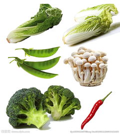 蔬菜圖片的藝術(shù)與價(jià)值 從視覺到營(yíng)養(yǎng)的全方位解讀